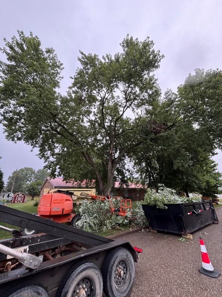 Professional cleanup by Shetler Tree Service